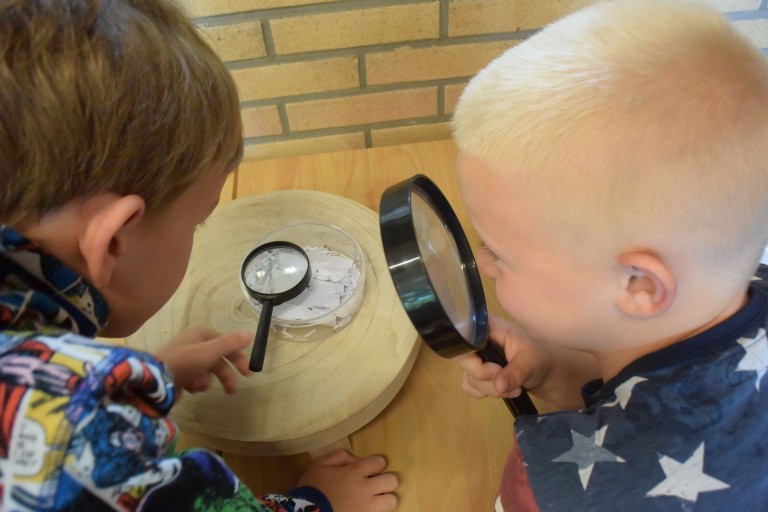 Jufjanneke Nl Lieveheersbeestjes In De Klas